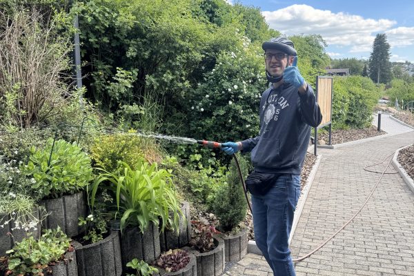 Bild Frühlingsgefühle im Hochbeet