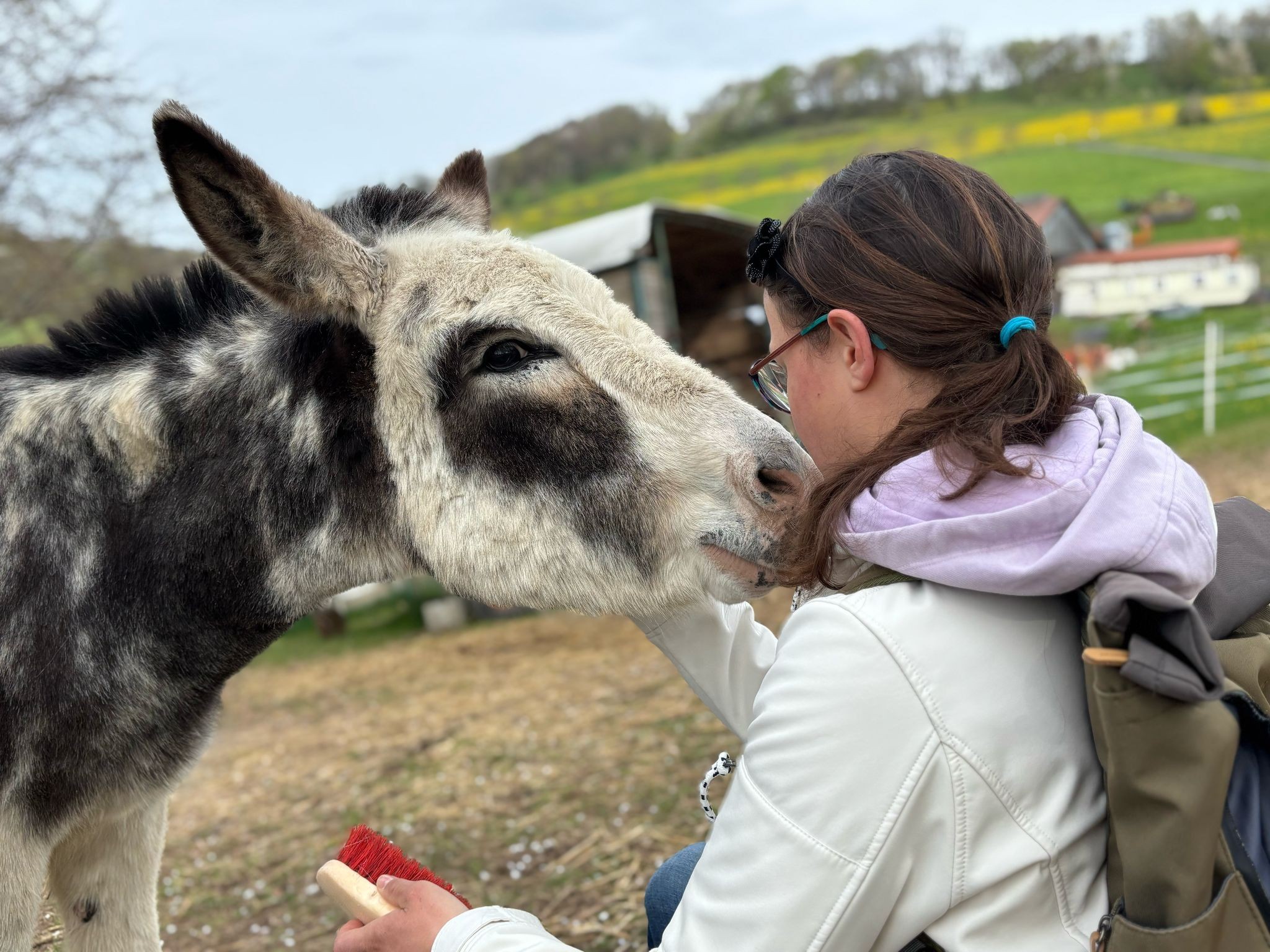 Rhönhof on Tour: Zu Besuch auf dem Eselhof