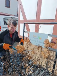 Bild Die Alte Schmiede erwacht aus dem Winterschlaf: Frühling liegt in der Luft!