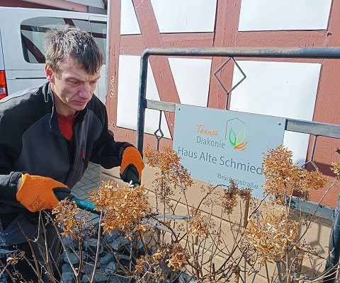 Bild Die Alte Schmiede erwacht aus dem Winterschlaf: Frühling liegt in der Luft!